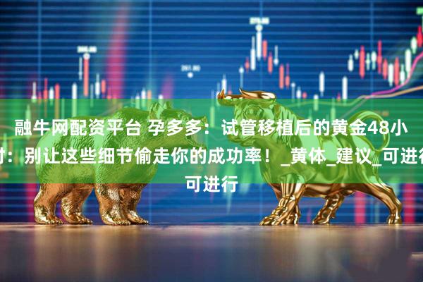 融牛網配資平臺 孕多多：試管移植后的黃金48小時：別讓這些細節偷走你的成功率！_黃體_建議_可進行