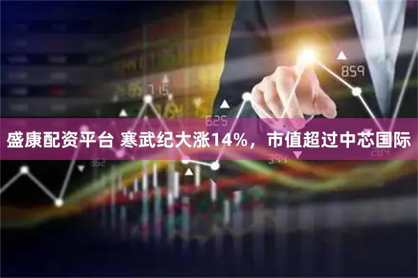 盛康配資平臺 寒武紀大漲14%，市值超過中芯國際