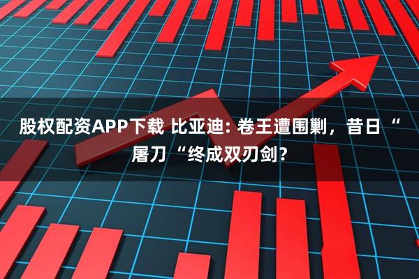 股權配資APP下載 比亞迪: 卷王遭圍剿，昔日 “屠刀 “終成雙刃劍？